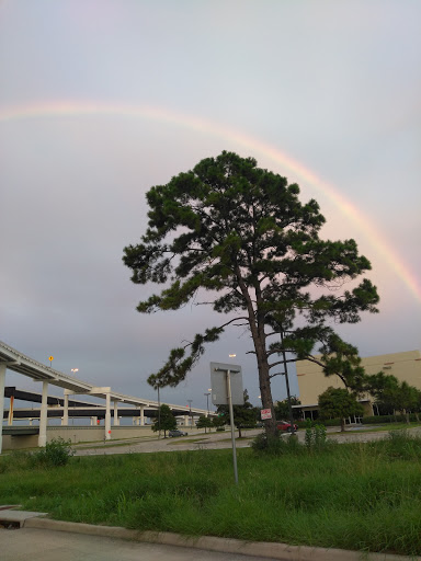 Auto Parts Store «XL Parts», reviews and photos, 15500 Hempstead Rd, Houston, TX 77040, USA