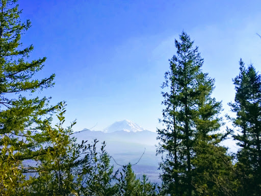 Bicycle Store «Cycle Therapy», reviews and photos, 105 W Smith St, Kent, WA 98032, USA