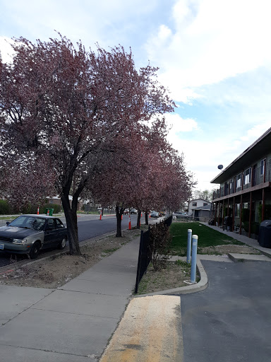 Shopping Mall «Shoppers Square», reviews and photos, 370 Casazza Dr, Reno, NV 89502, USA