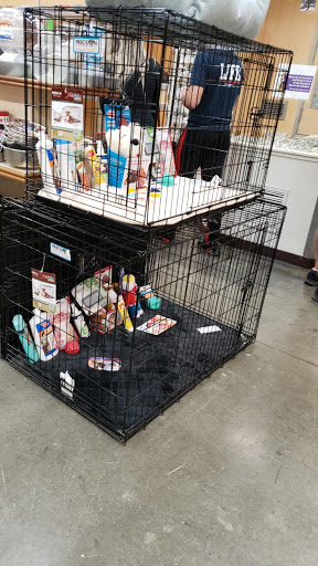 Pet Store «Animal Kingdom», reviews and photos, 5000 S Arizona Mills Cir, Tempe, AZ 85282, USA