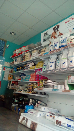 Hospital Veterinario 