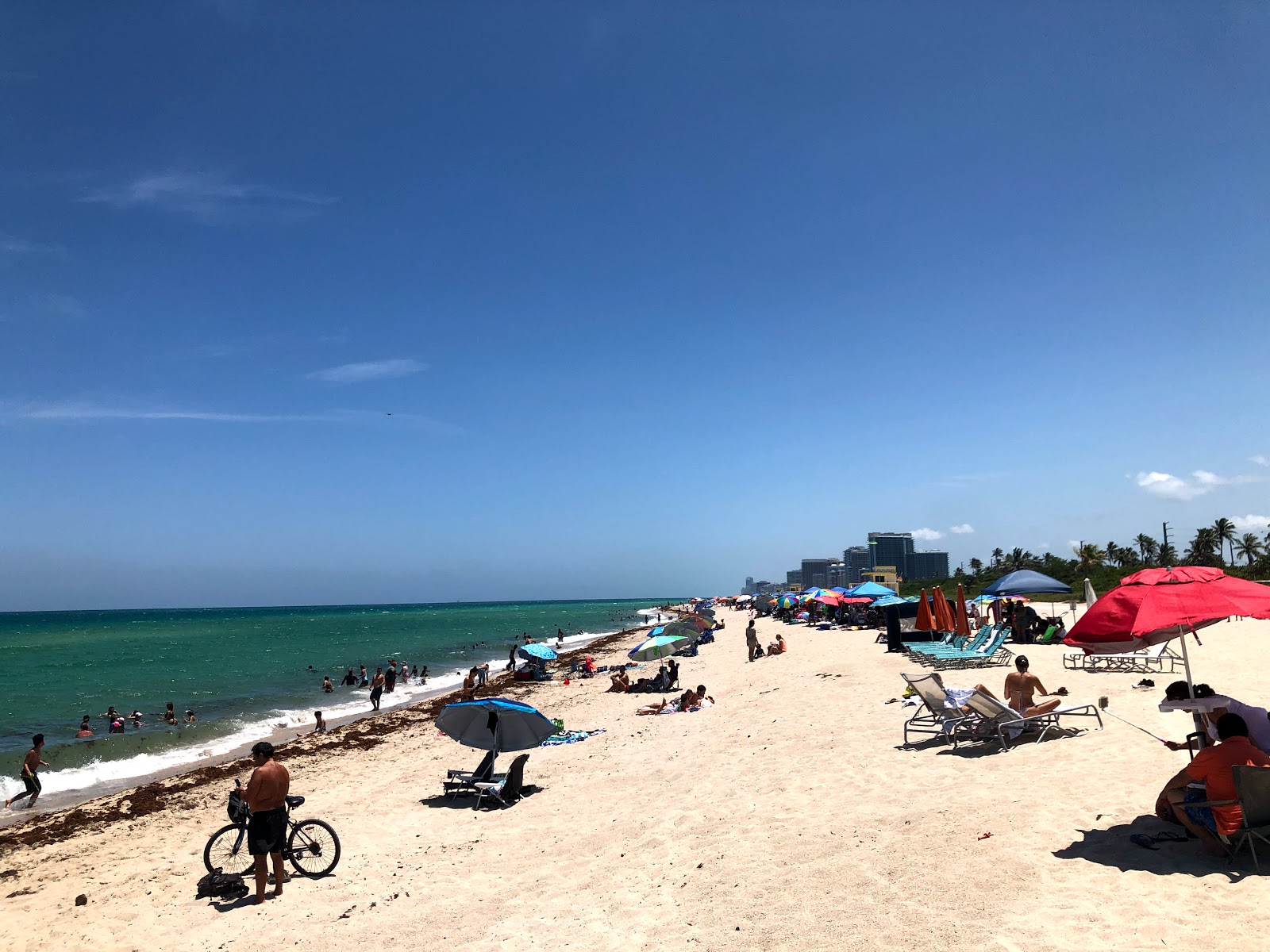 Photo of Haulover beach with very clean level of cleanliness