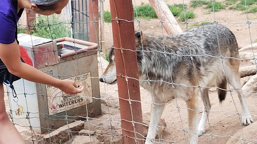 Wildlife Park «Colorado Wolf and Wildlife Center», reviews and photos, 4729 Twin Rocks Rd, Divide, CO 80814, USA