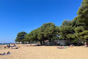 Plage de l'Argentière image