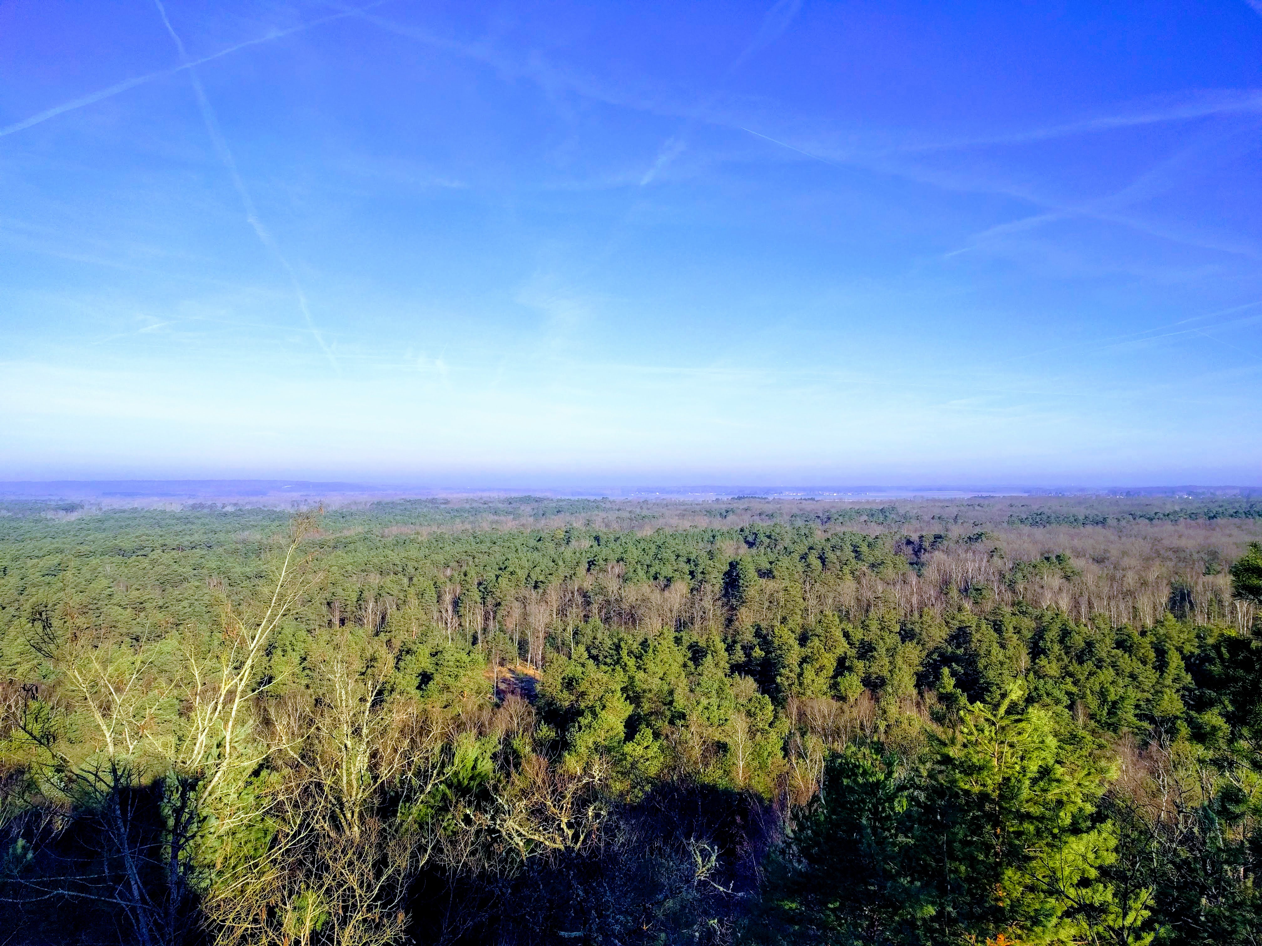 Photo n° 13 de l'avis de Pierre.l fait le 20/07/2018 à 09:34