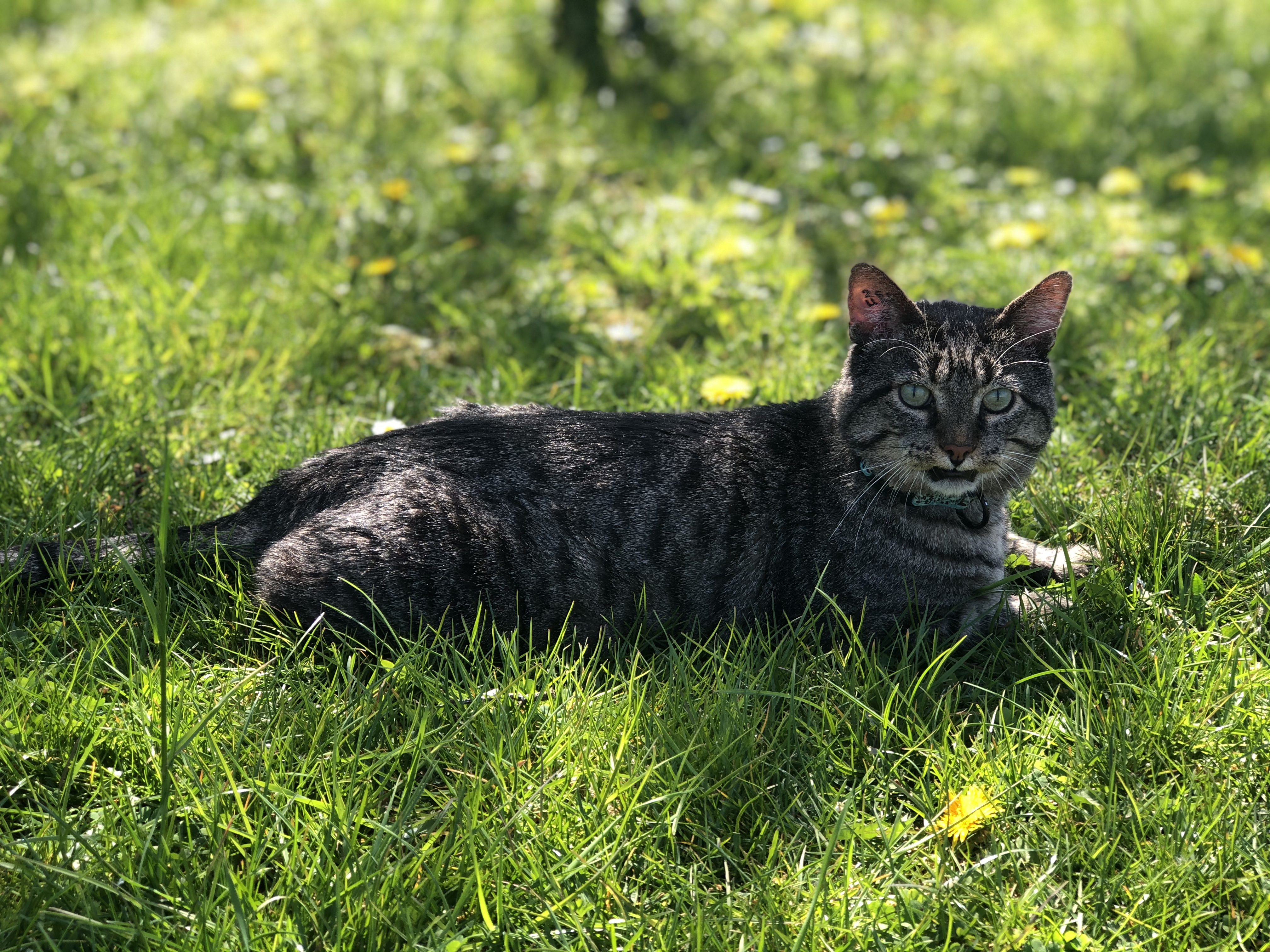 Photo n° 4 de l'avis de Elisa.r fait le 06/10/2017 à 09:31