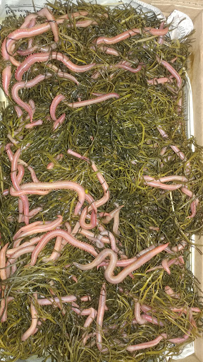 Archery Store «Northern Dutchess Archery», reviews and photos, 7375 S Broadway, Red Hook, NY 12571, USA