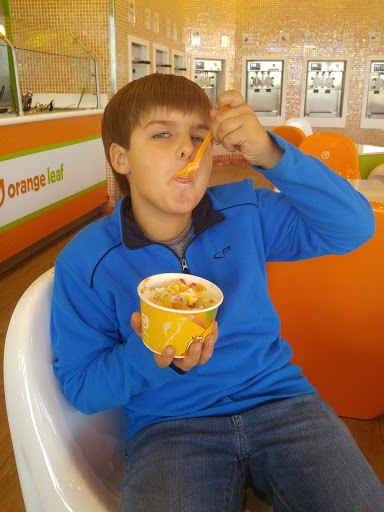 Frozen Yogurt Shop «Orange Leaf Frozen Yogurt», reviews and photos, 1350 NW 18th St, Ankeny, IA 50023, USA