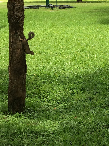 Park «Zinkil Park», reviews and photos, 5451 Washington St, Hollywood, FL 33021, USA