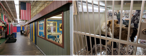 Pet Store «Back To Nature Pets & Grooming», reviews and photos, 110 N Dupont Hwy, New Castle, DE 19720, USA