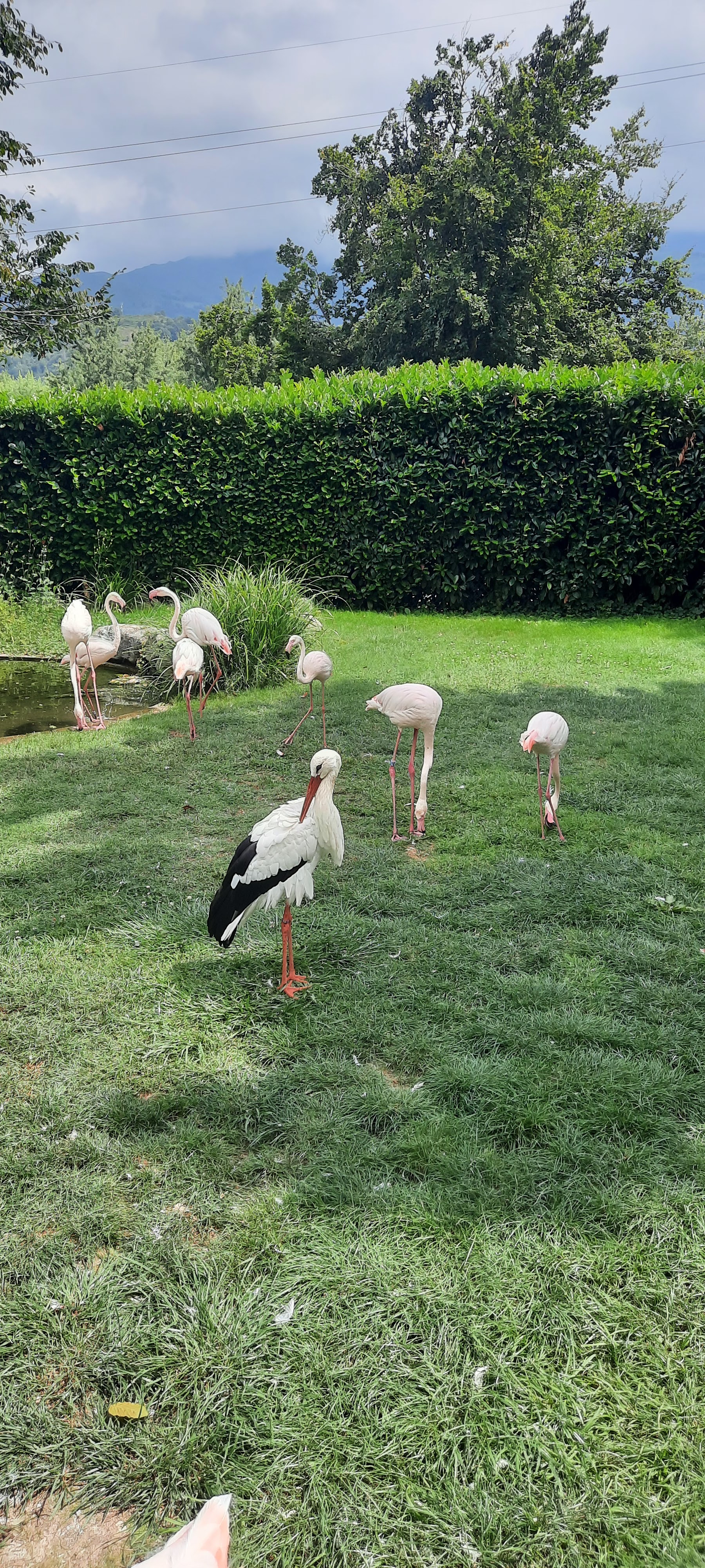 Photo n° 5 de l'avis de Magali.i fait le 17/08/2023 à 19:40