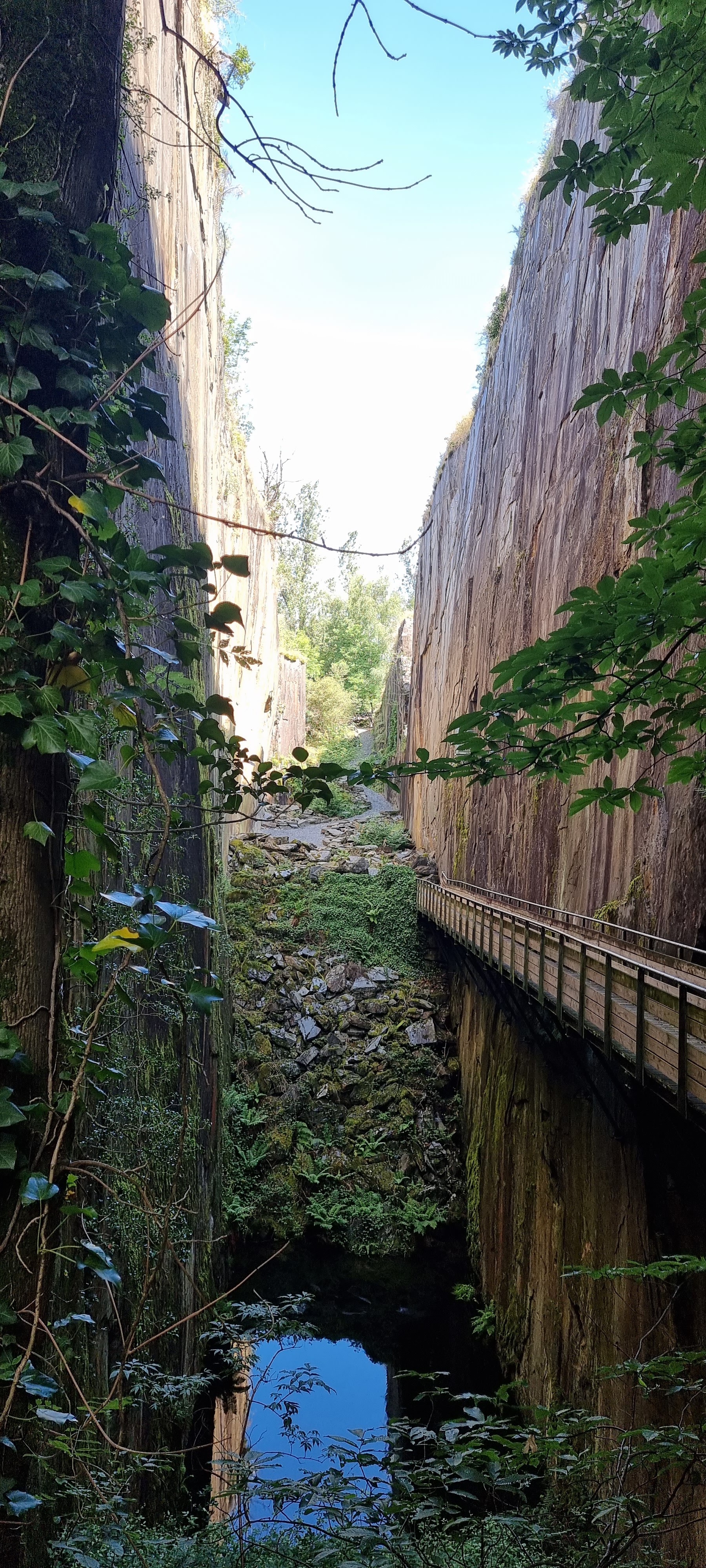Photo n° 7 de l'avis de SCHWEITZER.a fait le 24/07/2023 à 18:49