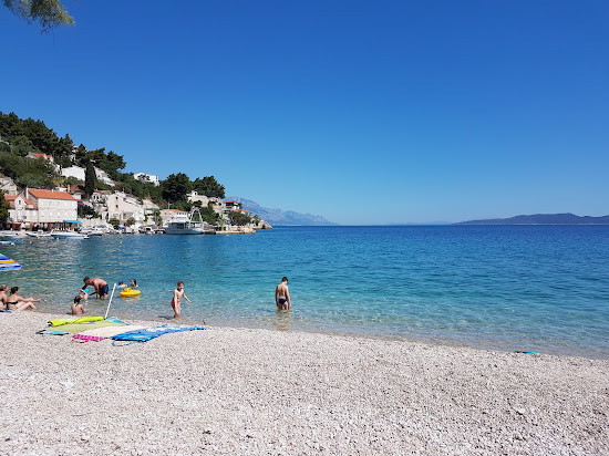 Mimice beach