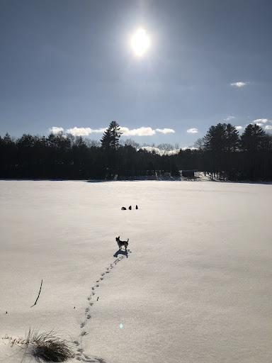 Community Center «Boxford Community Center», reviews and photos, 7 Elm St, Boxford, MA 01921, USA