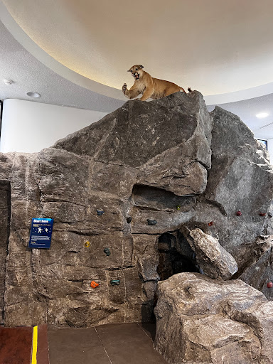 Museum «EcoTarium», reviews and photos, 222 Harrington Way, Worcester, MA 01604, USA