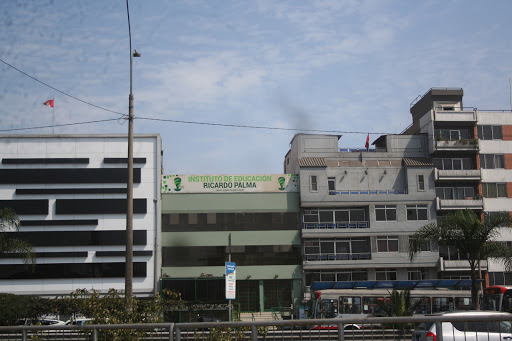 Ricardo Palma Clinic Institute of Education