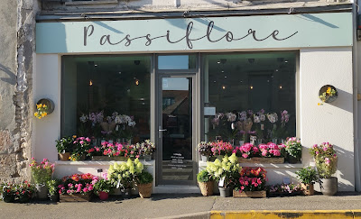 Passiflore à Maisse