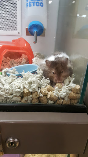 Pet Supply Store «Petco Animal Supplies», reviews and photos, 2250 Petrie Ln #518, Lanham, MD 20706, USA