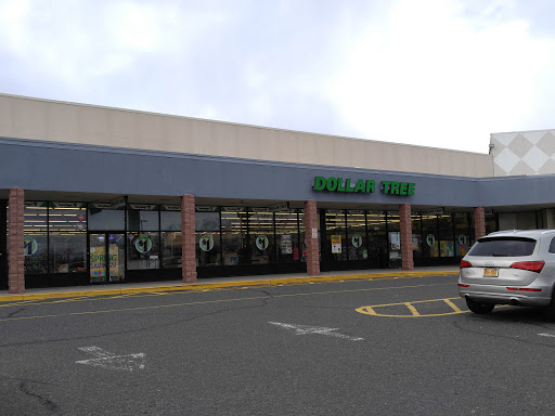 Dollar Store «Dollar Tree», reviews and photos, 1825 NJ-35 #11, Wall Township, NJ 07719, USA