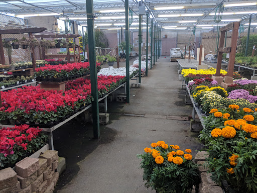 Hardware Store «Orchard Supply Hardware», reviews and photos, 2245 Gellert Blvd, South San Francisco, CA 94080, USA