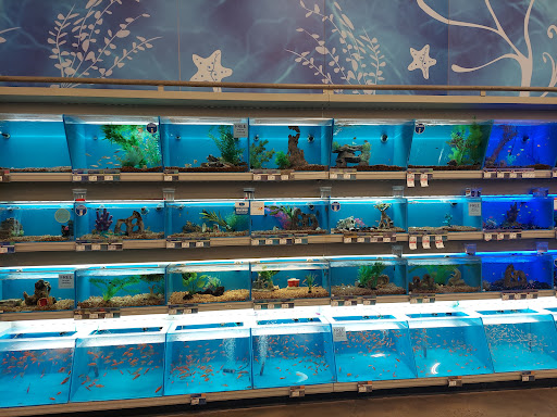 Pet Supply Store «PetSmart», reviews and photos, 2130 Gunbarrel Rd, Chattanooga, TN 37421, USA