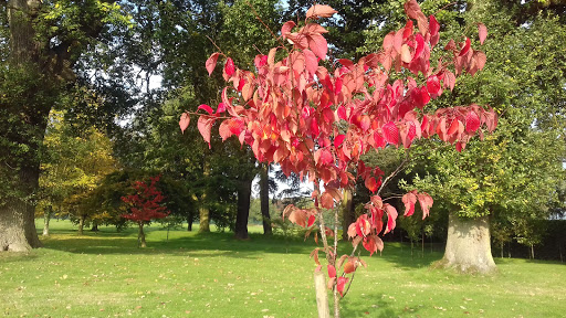 On-site gardening courses Stoke-on-Trent