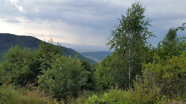 Cetatea Zânelor - Agenție de turism