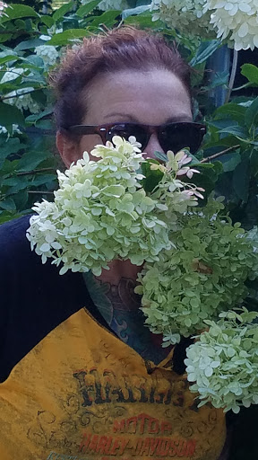 Vineyard «Harpersfield Vineyard», reviews and photos, 6387 OH-307, Geneva, OH 44041, USA