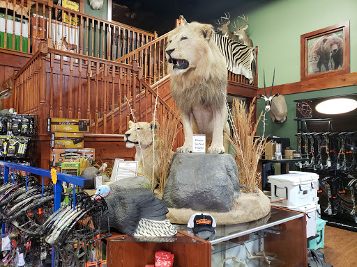 Archery Range «Adventures Archery», reviews and photos, 2210 US-301 #200, Tampa, FL 33619, USA