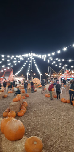 Health Club «Crunch - Simi Valley», reviews and photos, 2655 Erringer Rd, Simi Valley, CA 93065, USA