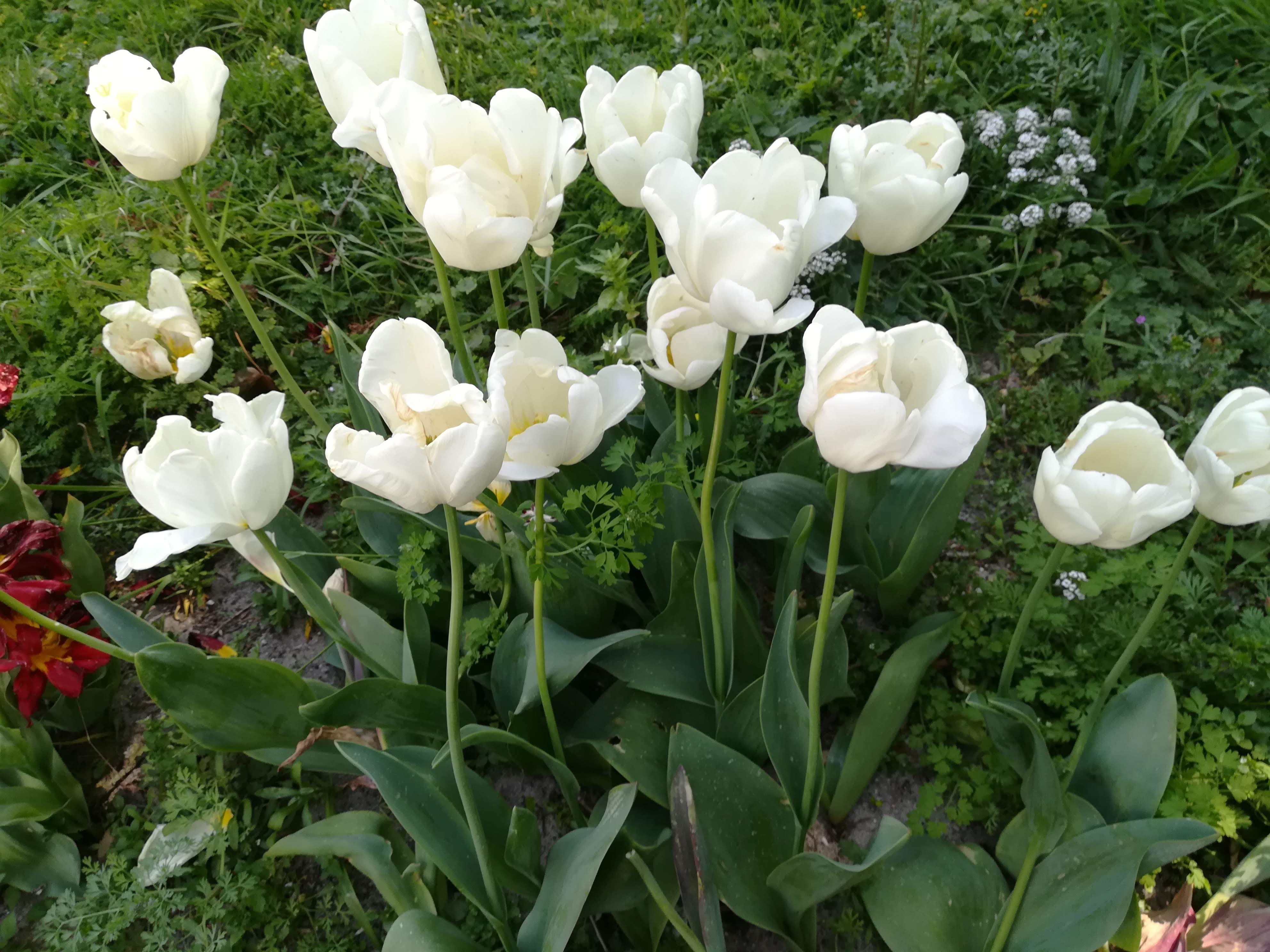 Photo n° 16 de l'avis de Ky29. fait le 26/03/2021 à 12:18