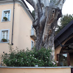 Photo n°1 de l'avis de Elisa.e fait le 14/08/2022 à 12:27 sur le  Ristorante San Genesio à San Genesio