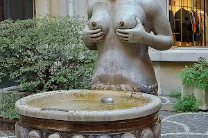 Fontana Delle Tette image