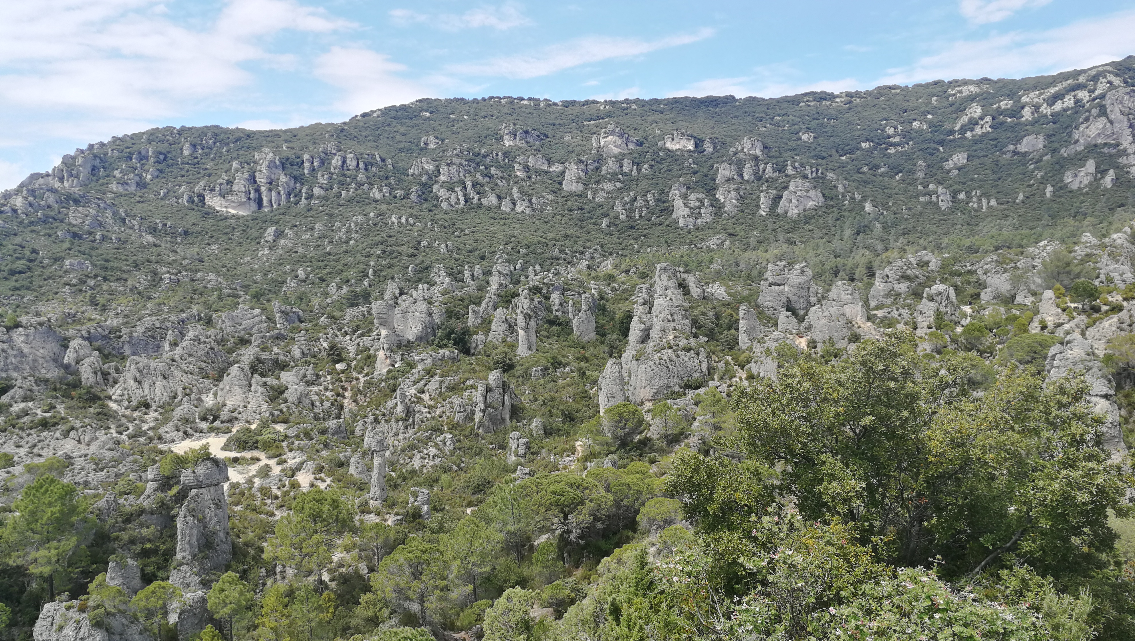 Photo n° 3 de l'avis de Christian.e fait le 19/05/2019 à 14:07