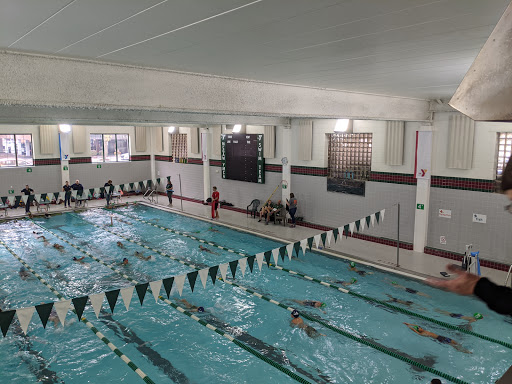 Association or Organization «McGaw YMCA», reviews and photos, 1000 Grove St, Evanston, IL 60201, USA