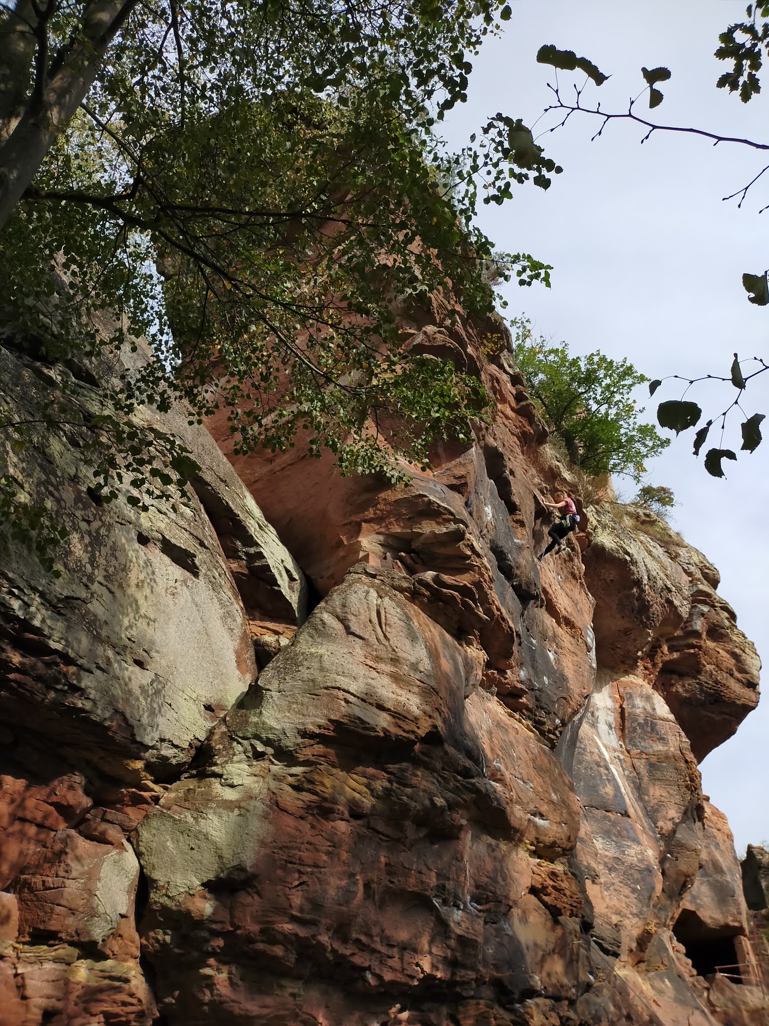 Photo n° 11 de l'avis de Julien.o fait le 30/09/2020 à 16:17