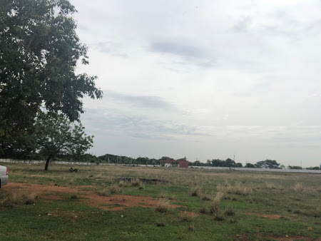 Google Maps image 15