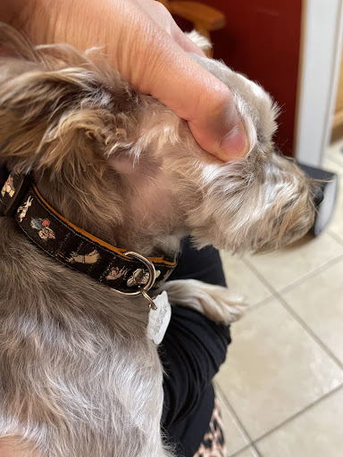 Pet Supply Store «Petco Animal Supplies», reviews and photos, 1215-1309 NJ-33 #1, Hamilton Township, NJ 08690, USA