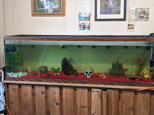 Used Auto Parts Store «Camaro Heaven / Drew Auto Parts», reviews and photos, 112 Clark Rd, Tilton, NH 03276, USA