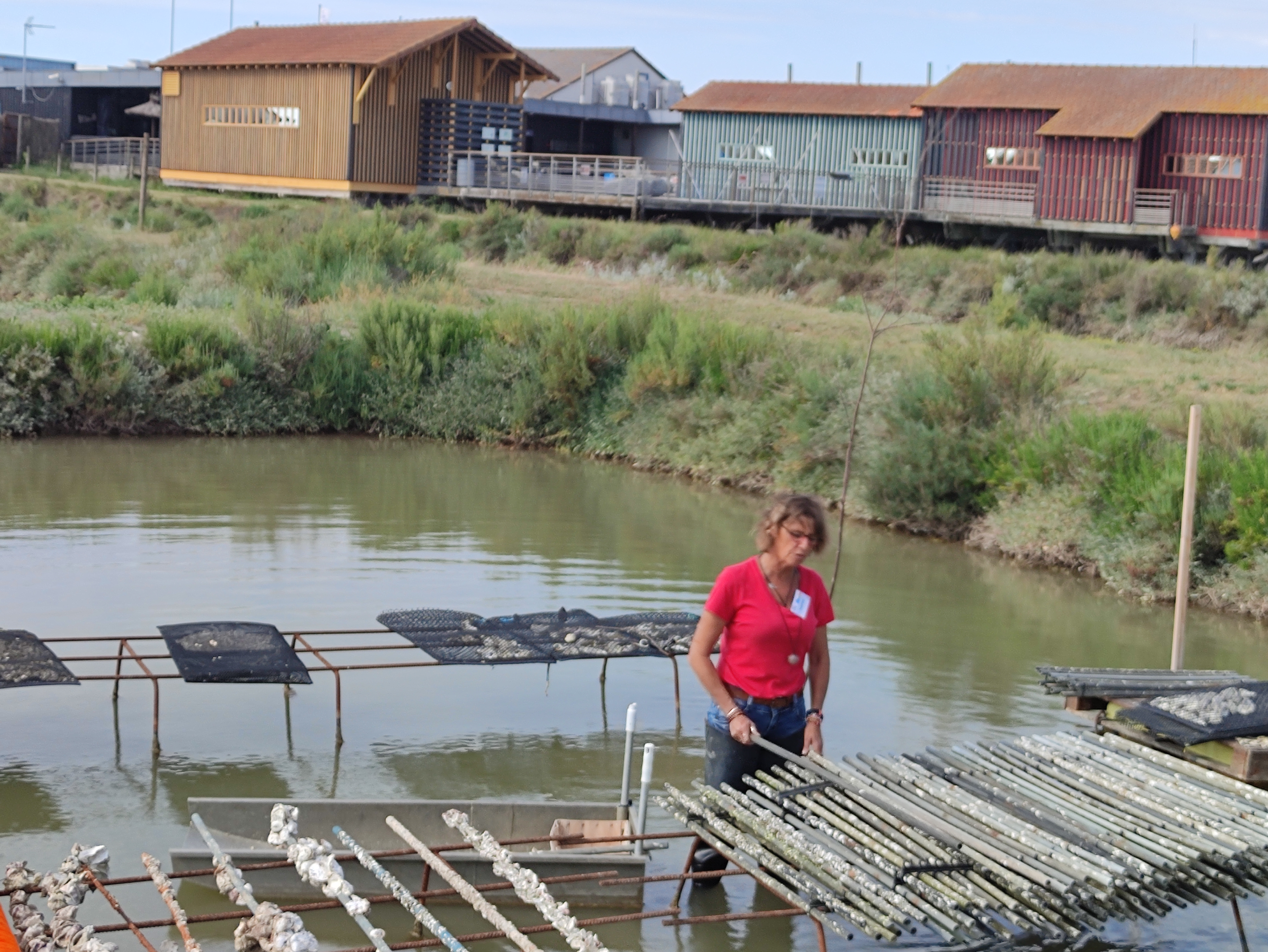 Photo n° 1 de l'avis de pierre.i fait le 01/06/2022 à 14:49