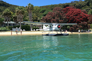 Auckland Seaplanes image