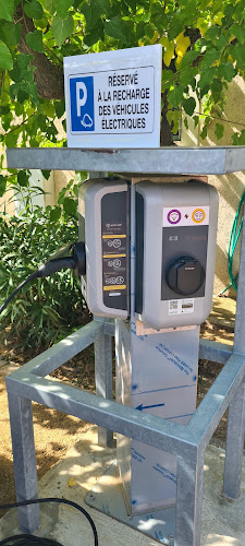 Borne de recharge de véhicules électriques OZECAR Charging Station Lumio