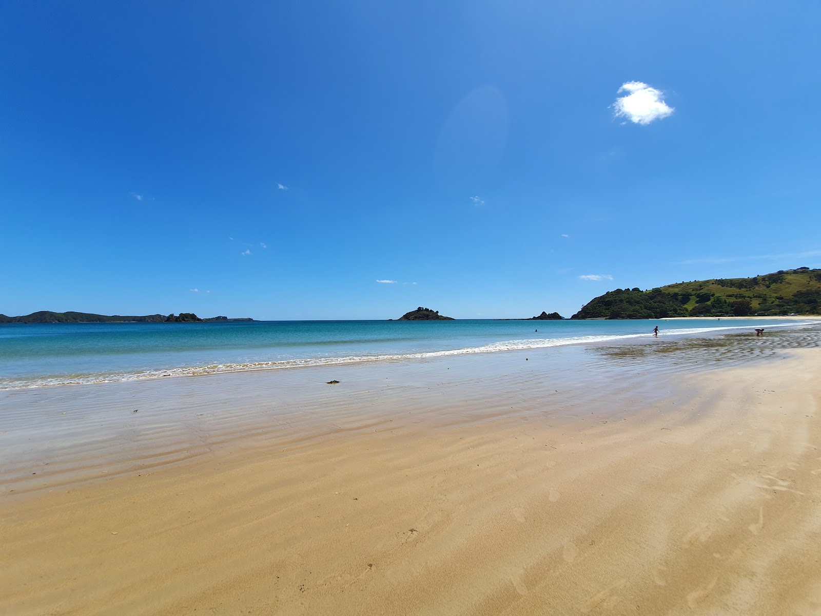 Photo de Te Ngaere Bay avec un niveau de propreté de très propre