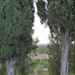 Photo n°4 de l'avis de Alessandro.g fait le 26/06/2022 à 17:30 sur le  Ristorante LARS à Castiglione del Lago