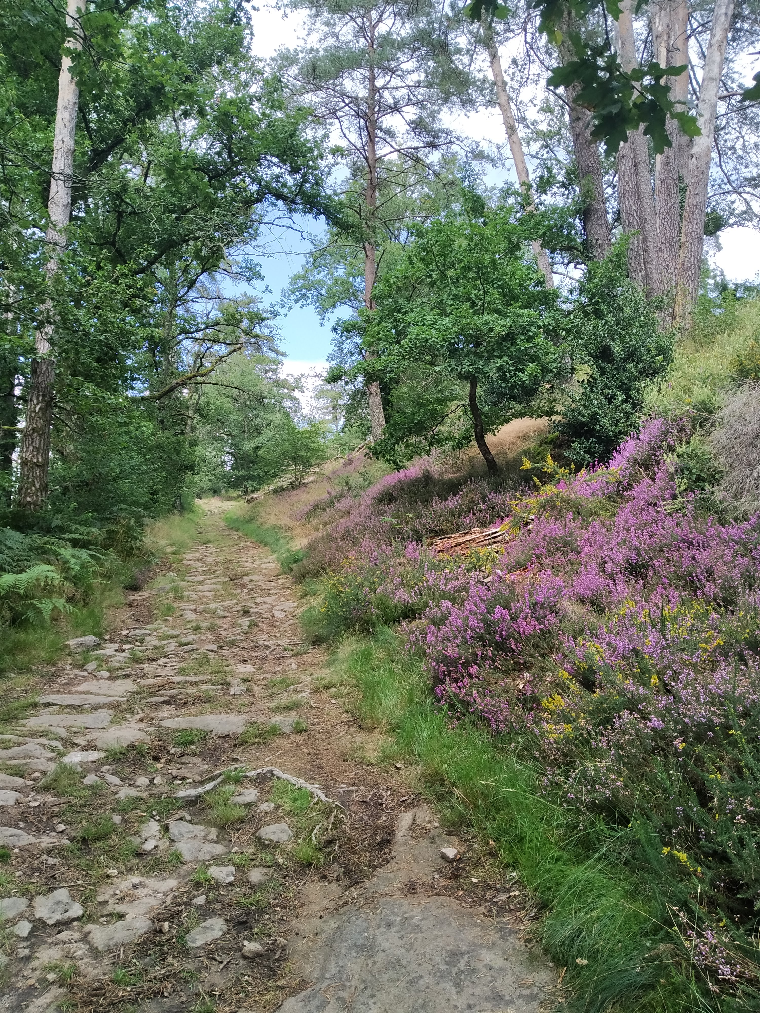 Photo n° 2 de l'avis de babeth.i fait le 08/08/2021 à 20:28