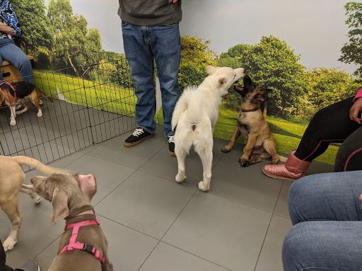 Pet Supply Store «Petco Animal Supplies», reviews and photos, 1011 University Blvd #100, Suffolk, VA 23435, USA