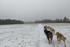 NORDICDREAMS-LAPLAND image