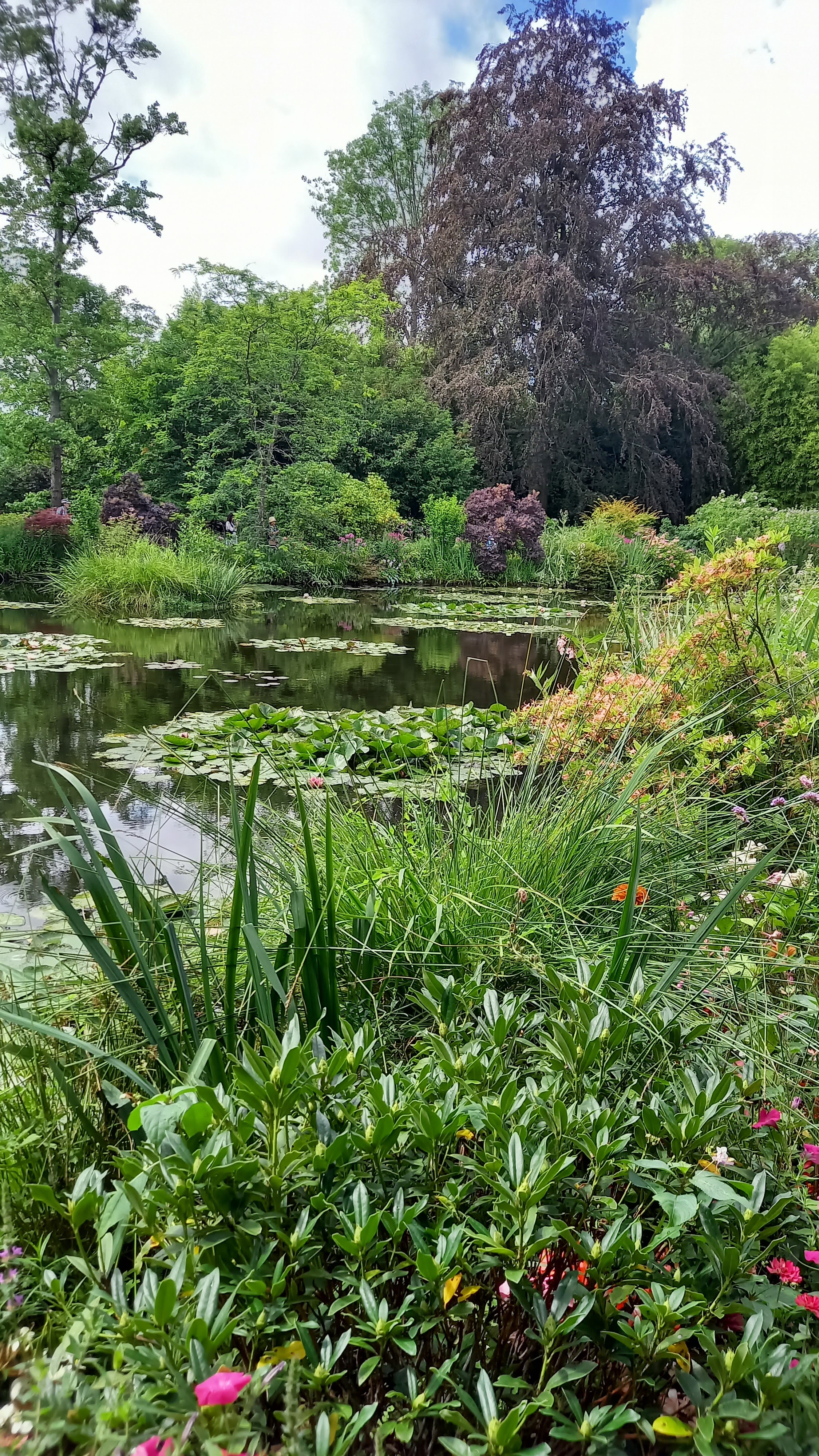 Photo n° 2 de l'avis de André.r fait le 30/07/2023 à 15:07