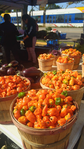 Shopping Mall «Uni-Dale Mall», reviews and photos, 608 University Ave W, St Paul, MN 55103, USA