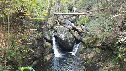 Naugatuck State Forest